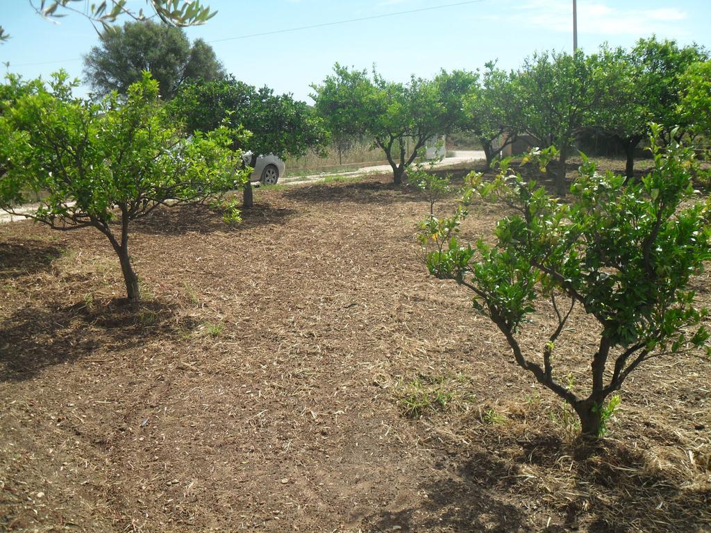 אורוסיי Residenza Rosa Maria Country House חדר תמונה