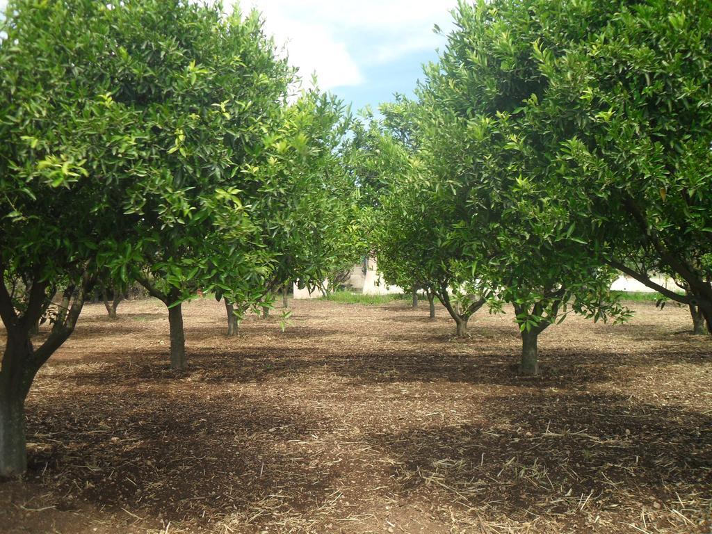 אורוסיי Residenza Rosa Maria Country House חדר תמונה