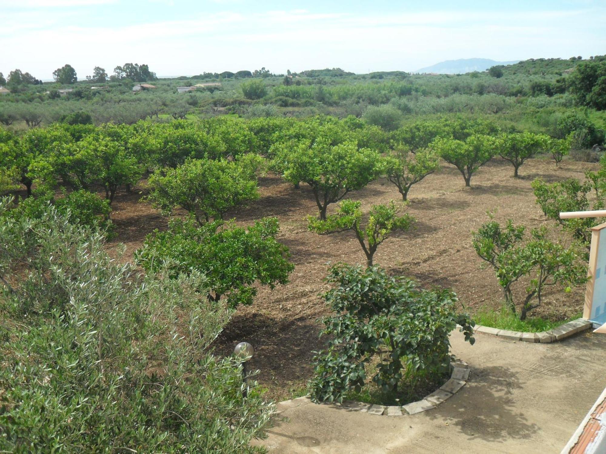 אורוסיי Residenza Rosa Maria Country House מראה חיצוני תמונה
