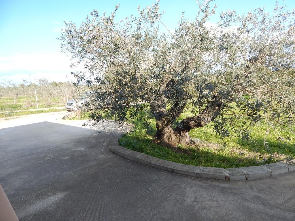 אורוסיי Residenza Rosa Maria Country House חדר תמונה